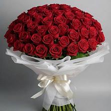 Букет 101 Красная роза Блэк Мэджик в Малых Базах