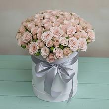 Цветочная композиция из Розы в шляпной коробке #REPLACE_PRED# Малых Базах