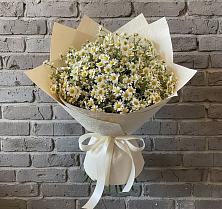 Букет цветов из:  Ромашки в Малых Базах
