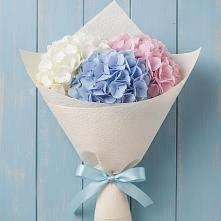 Букет цветов из:  Гортензия в Малых Базах