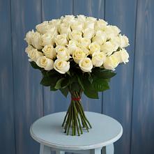 Букет 51 Белая роза Эдлесс Лав #REPLACE_PRED# Малых Базах