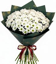 Букет цветов из:  Хризантемы #REPLACE_PRED# Малых Базах