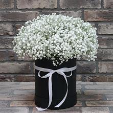 Цветочная композиция из Гипсофила в шляпной коробке в Малых Базах